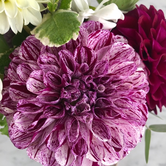 Meet your Posher, Kim - Picture 1 of 1